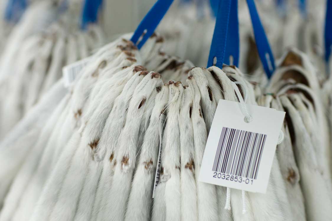 Kopenhagen Fur mink skins with labels